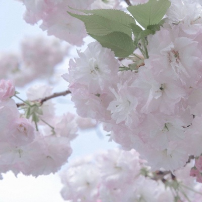 兽设星空场景设计FurryQQ群